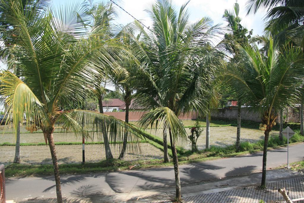 Gusti Rai House Hotel Ubud  Luaran gambar